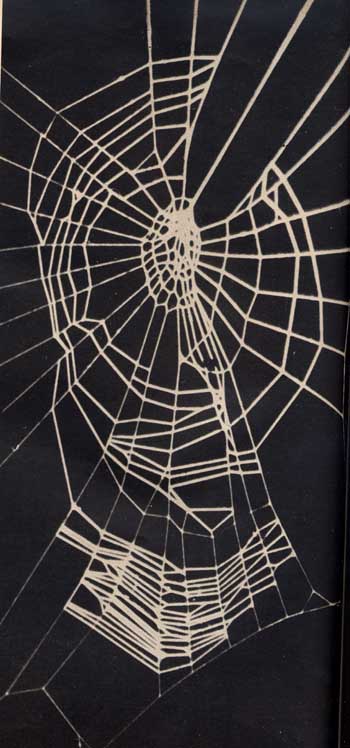 picture of spider on Pervitin